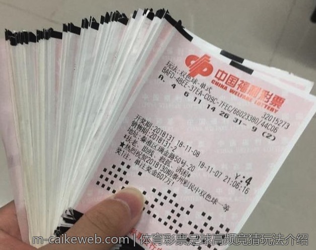 历史体育彩票开奖结果数据分析